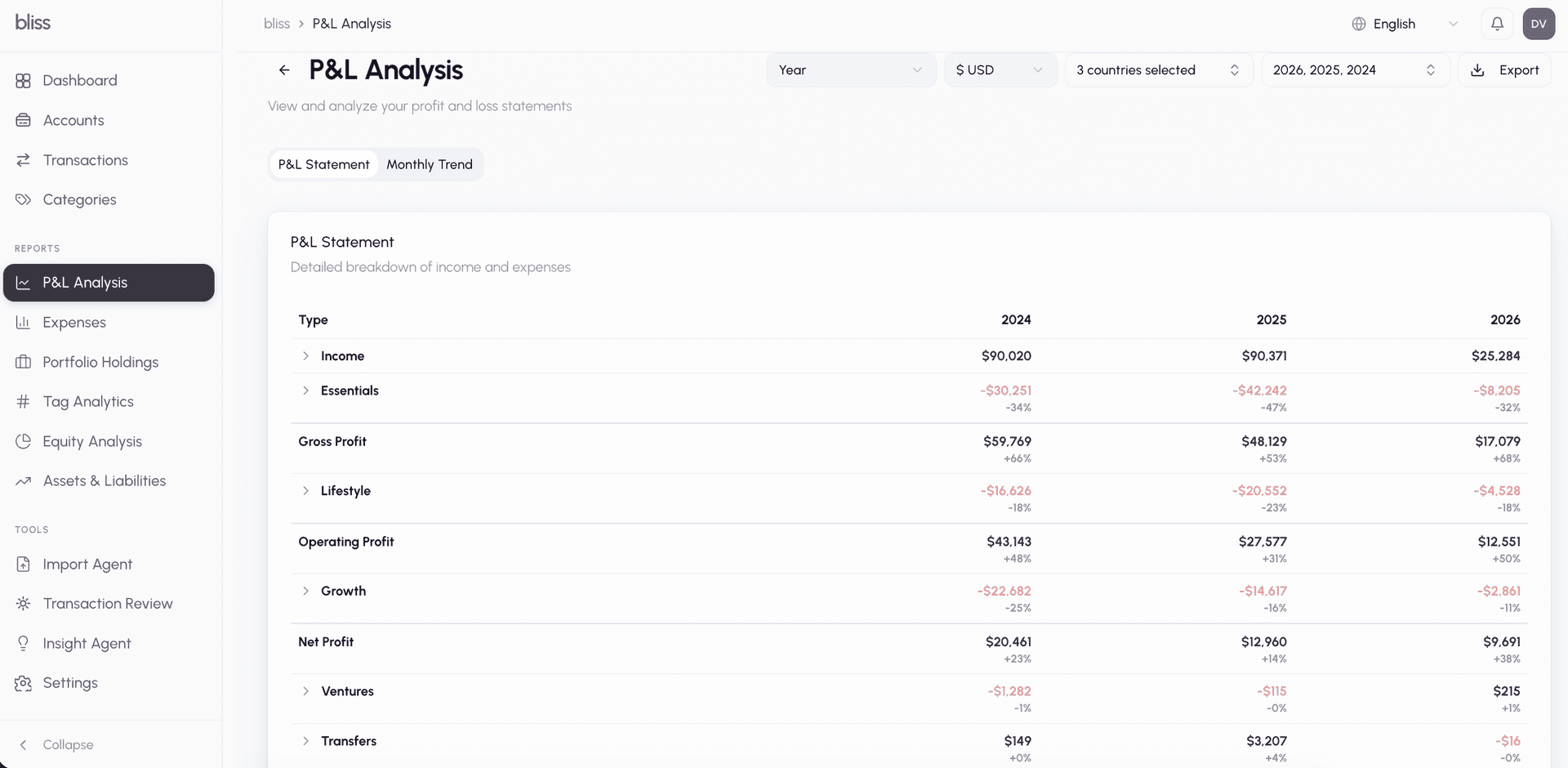 Bliss Finance P&L report showing category breakdowns, income vs expenses, and multi-currency consolidation